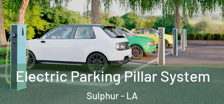  Electric Parking Pillar System Sulphur - LA