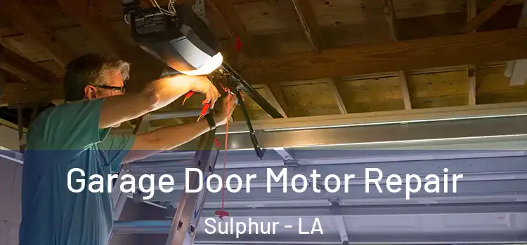  Garage Door Motor Repair Sulphur - LA
