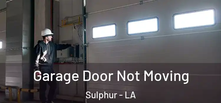  Garage Door Not Moving Sulphur - LA