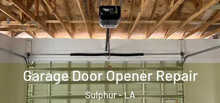 Garage Door Opener Repair Sulphur - LA