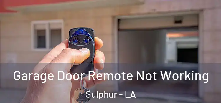  Garage Door Remote Not Working Sulphur - LA