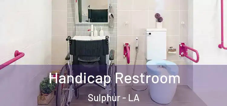  Handicap Restroom Sulphur - LA