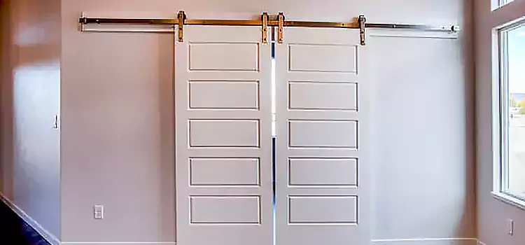 Glass Barn Door with Installation Hardware Kit Sulphur
