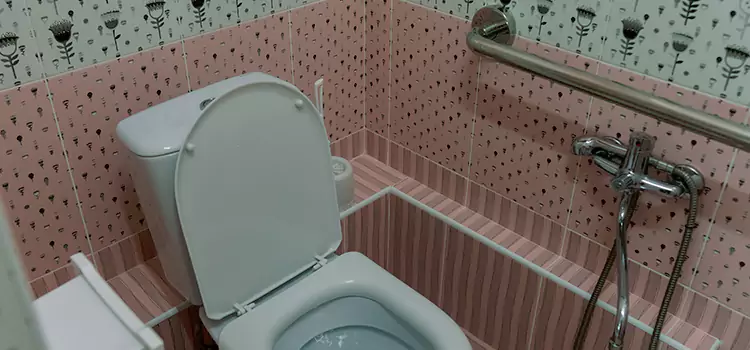 Meeting Diverse Needs With Accessible Restroom Solutions in Sulphur, LA
