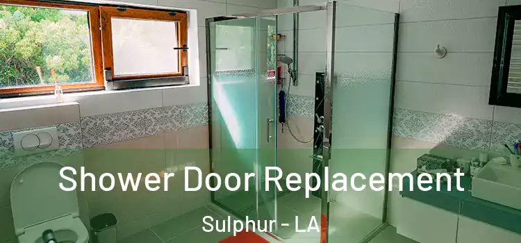 Shower Door Replacement Sulphur - LA